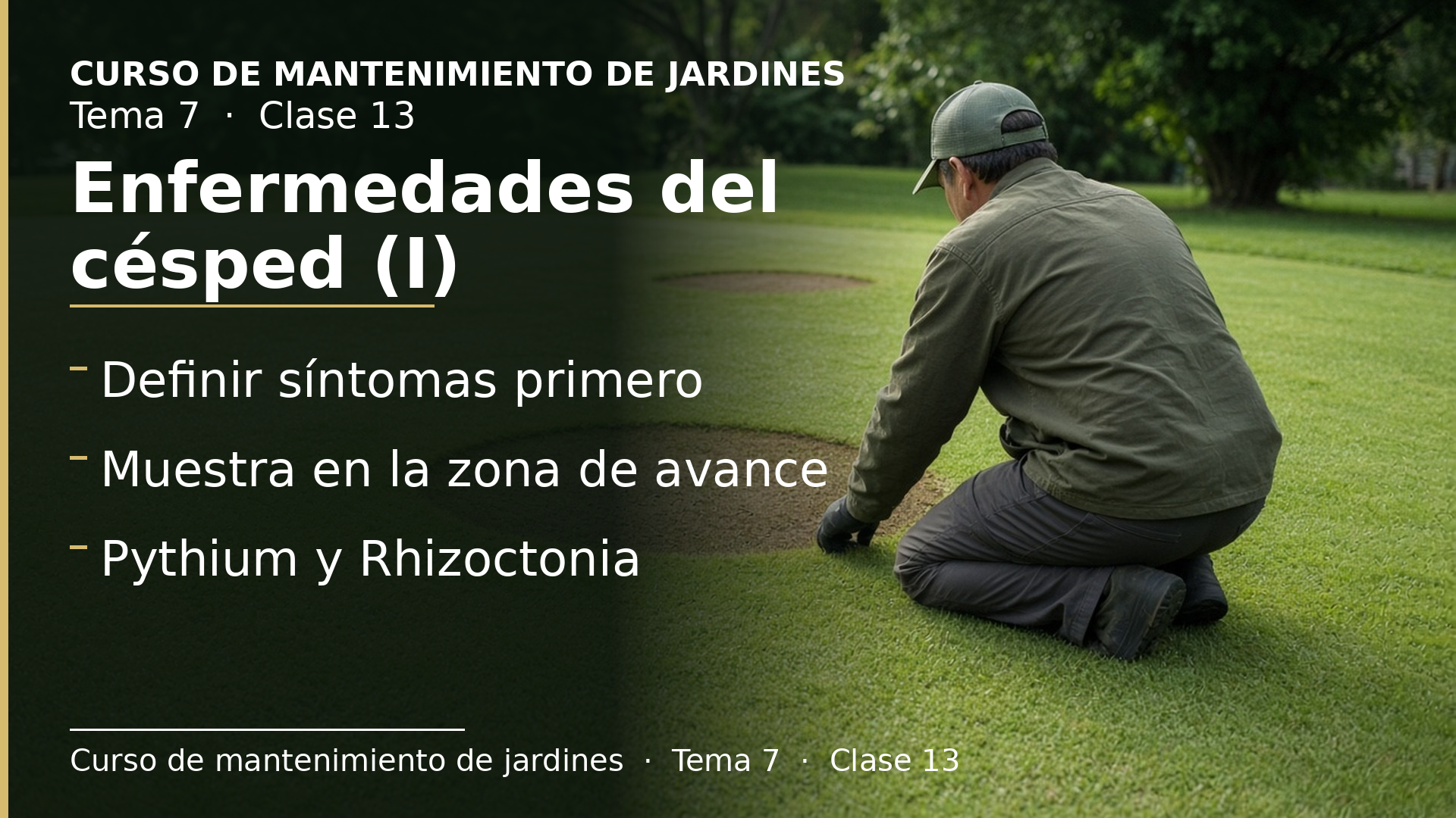 Diapositiva de la clase 13: Enfermedades del césped (I)