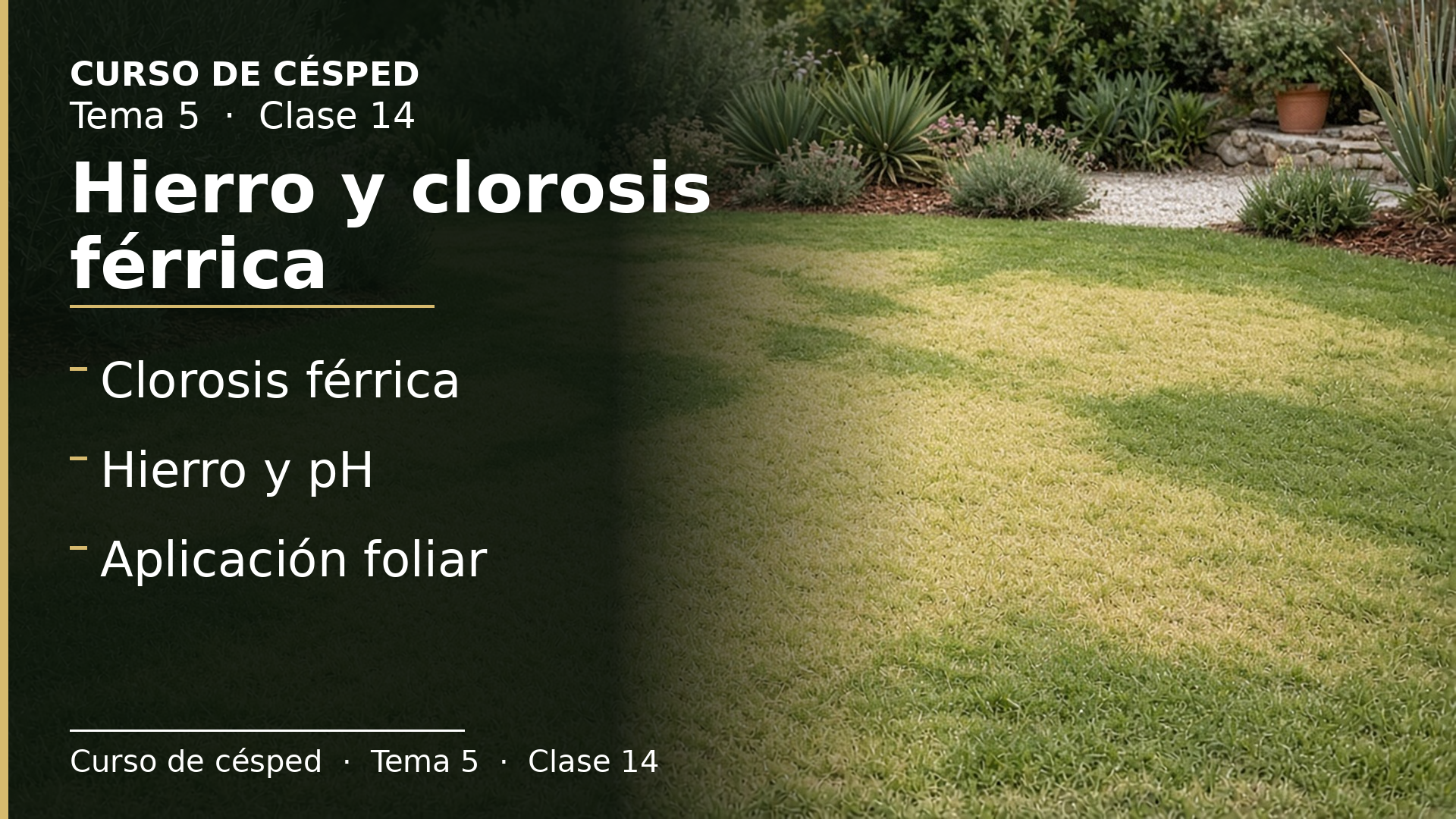 Diapositiva de la clase 14: Hierro y clorosis férrica