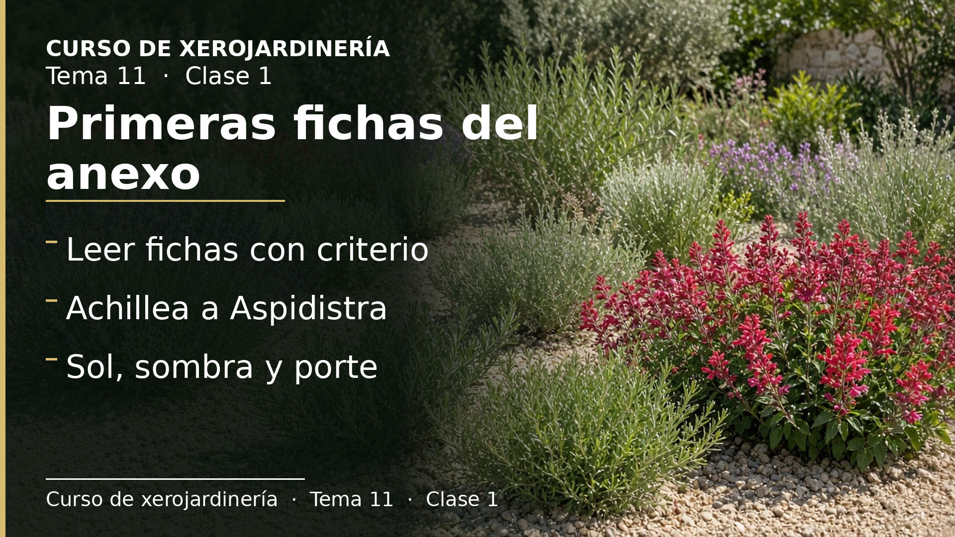 Diapositiva de la clase 1: Primeras fichas del anexo de especies