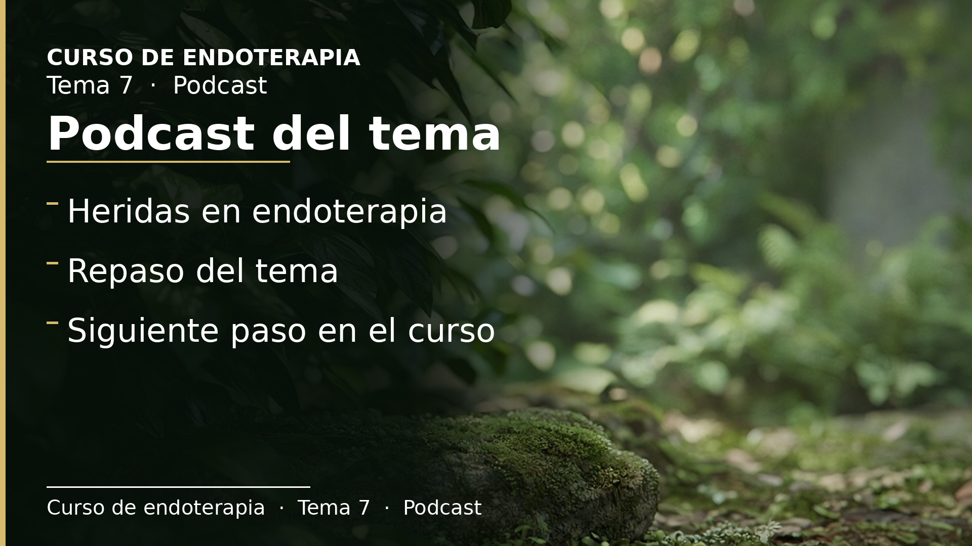 Diapositiva del resumen: Podcast del tema 7 · Heridas en endoterapia