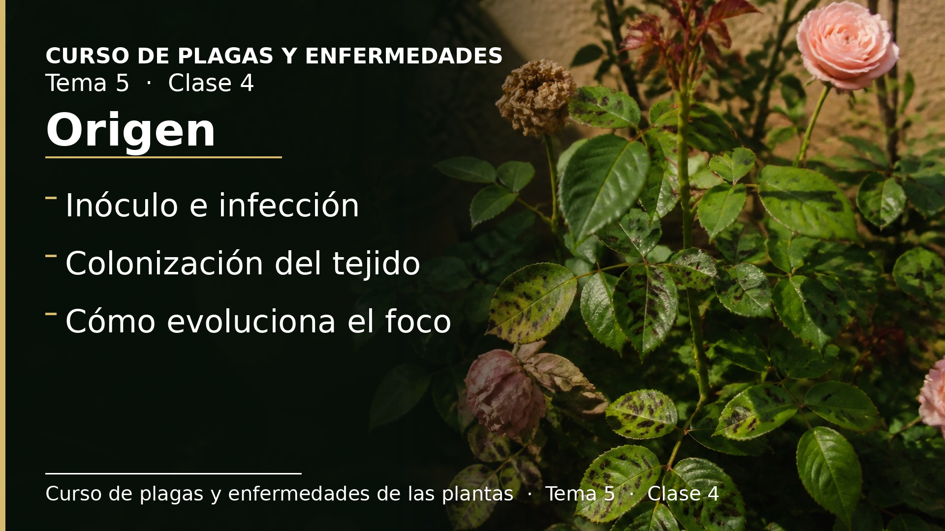 Diapositiva de la clase 4: Origen y evolución de la enfermedad