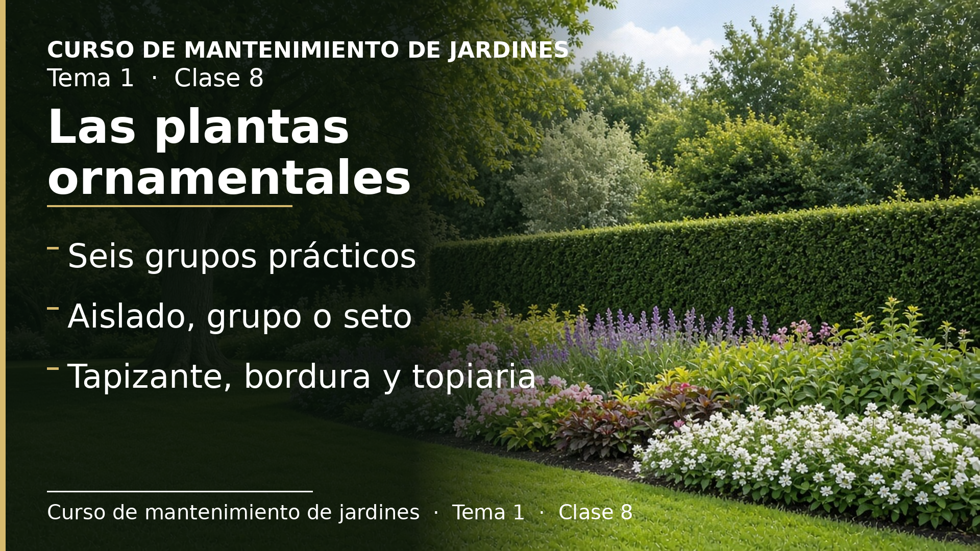 Diapositiva de la clase 8: Las plantas ornamentales: cómo se clasifican y cómo se usan
