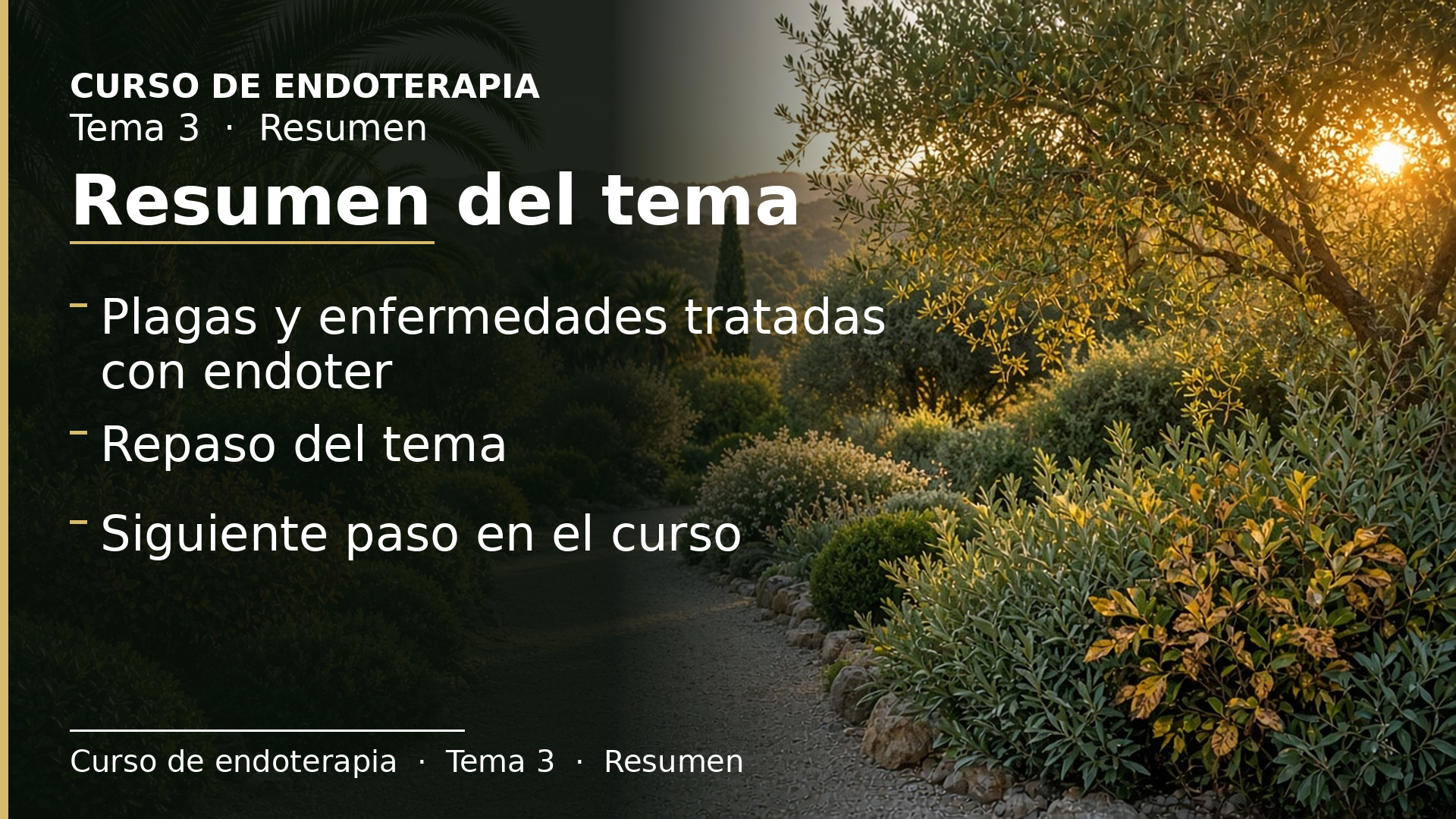 Diapositiva del resumen: Resumen del tema