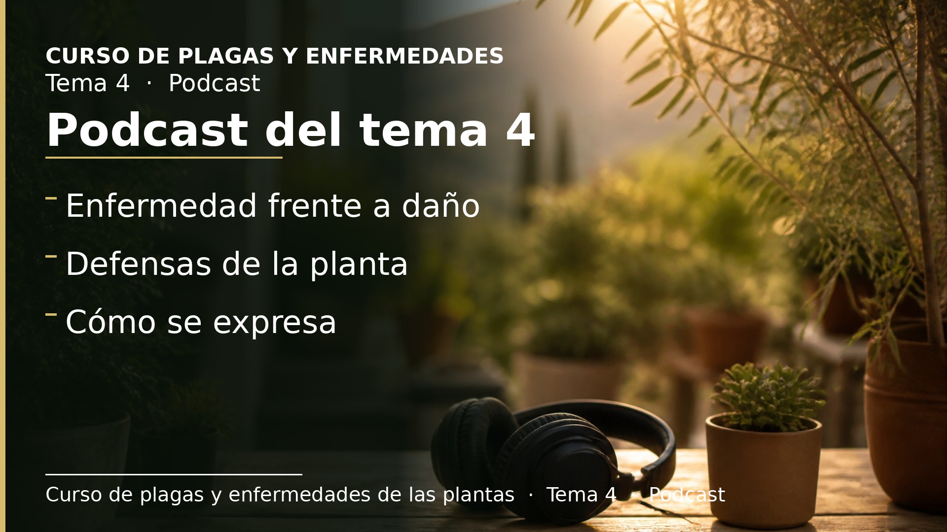 Diapositiva del resumen: Podcast del tema 4 · Enfermedades de las plantas
