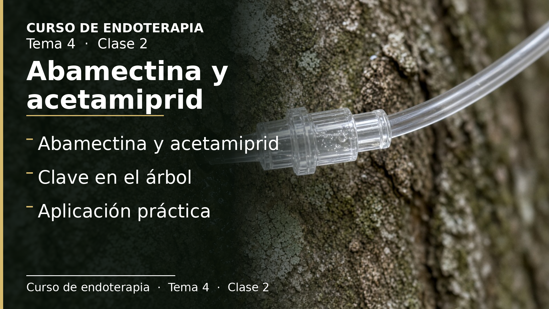 Diapositiva de la clase 2: Abamectina y acetamiprid