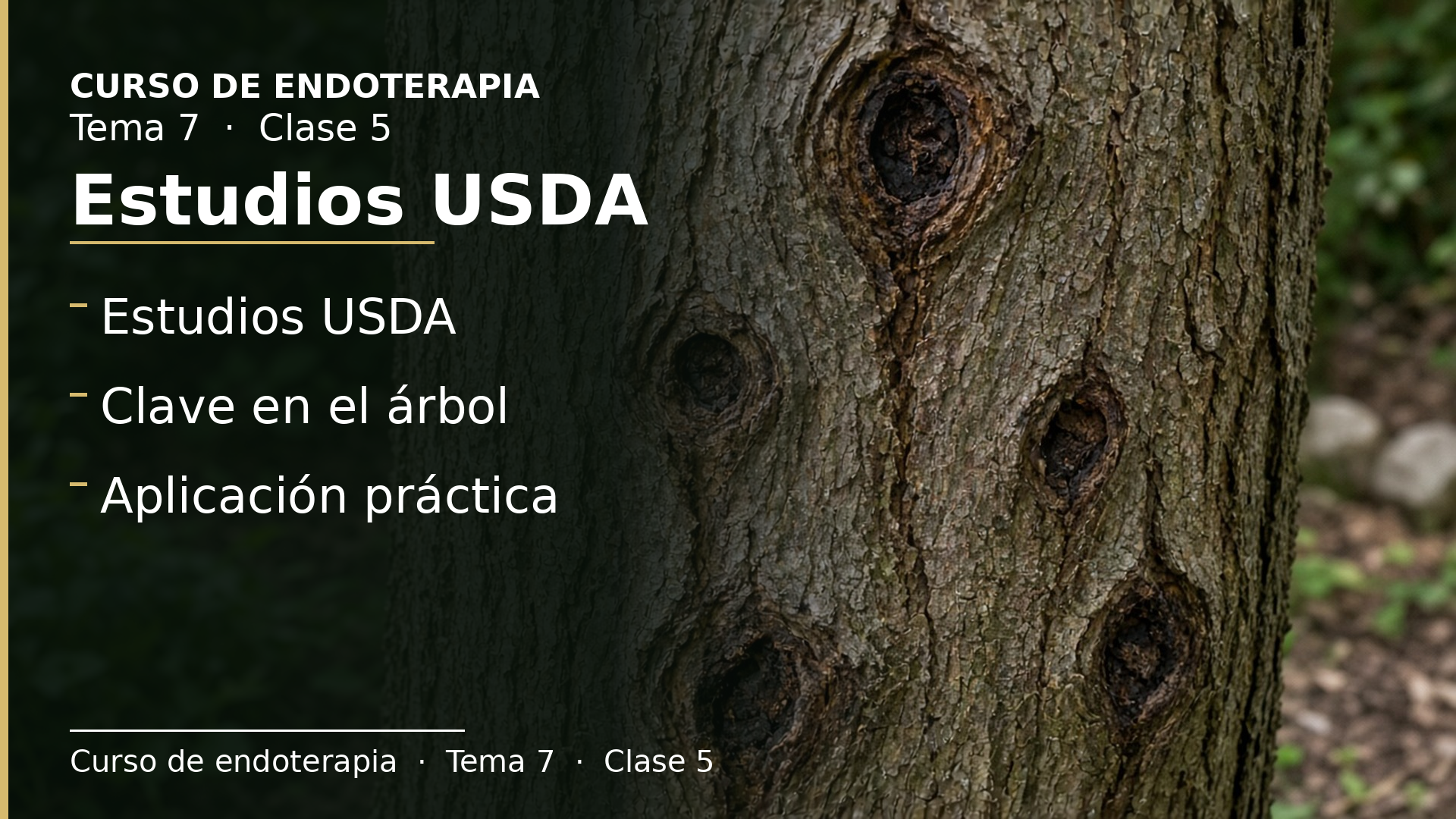Diapositiva de la clase 5: Estudios USDA
