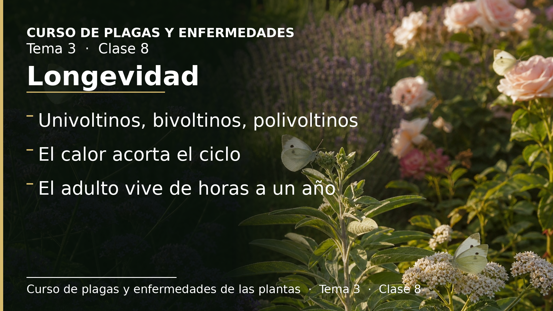Diapositiva de la clase 8: Longevidad y número de generaciones