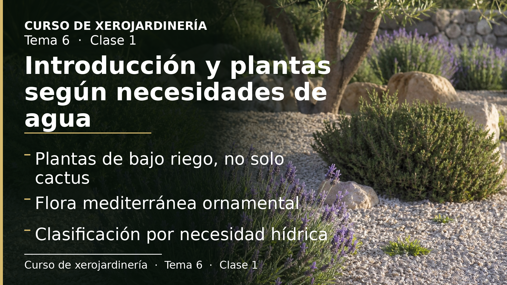 Diapositiva de la clase 1: Introducción y plantas según necesidades de agua