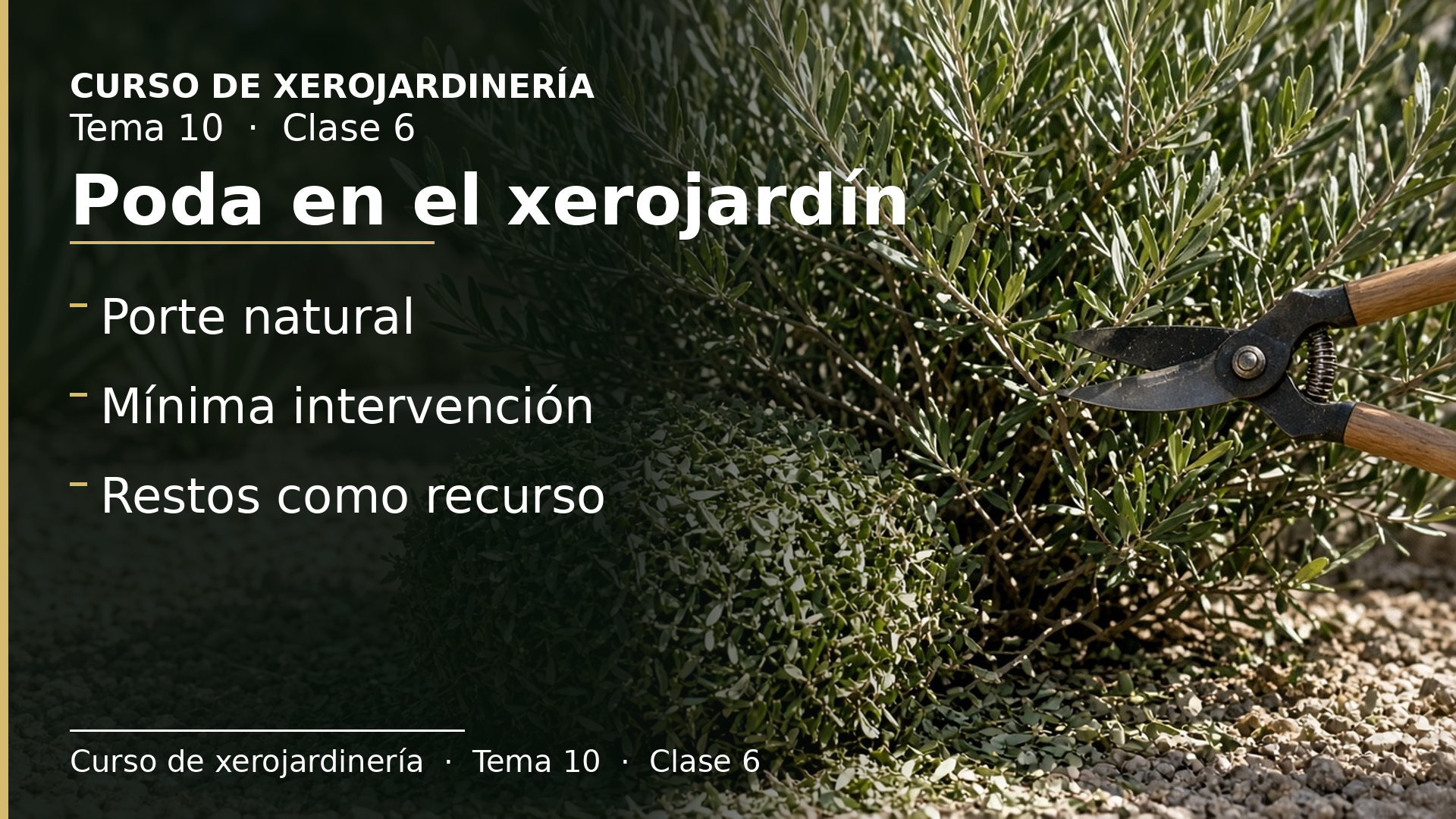 Diapositiva de la clase 6: Poda en el xerojardín