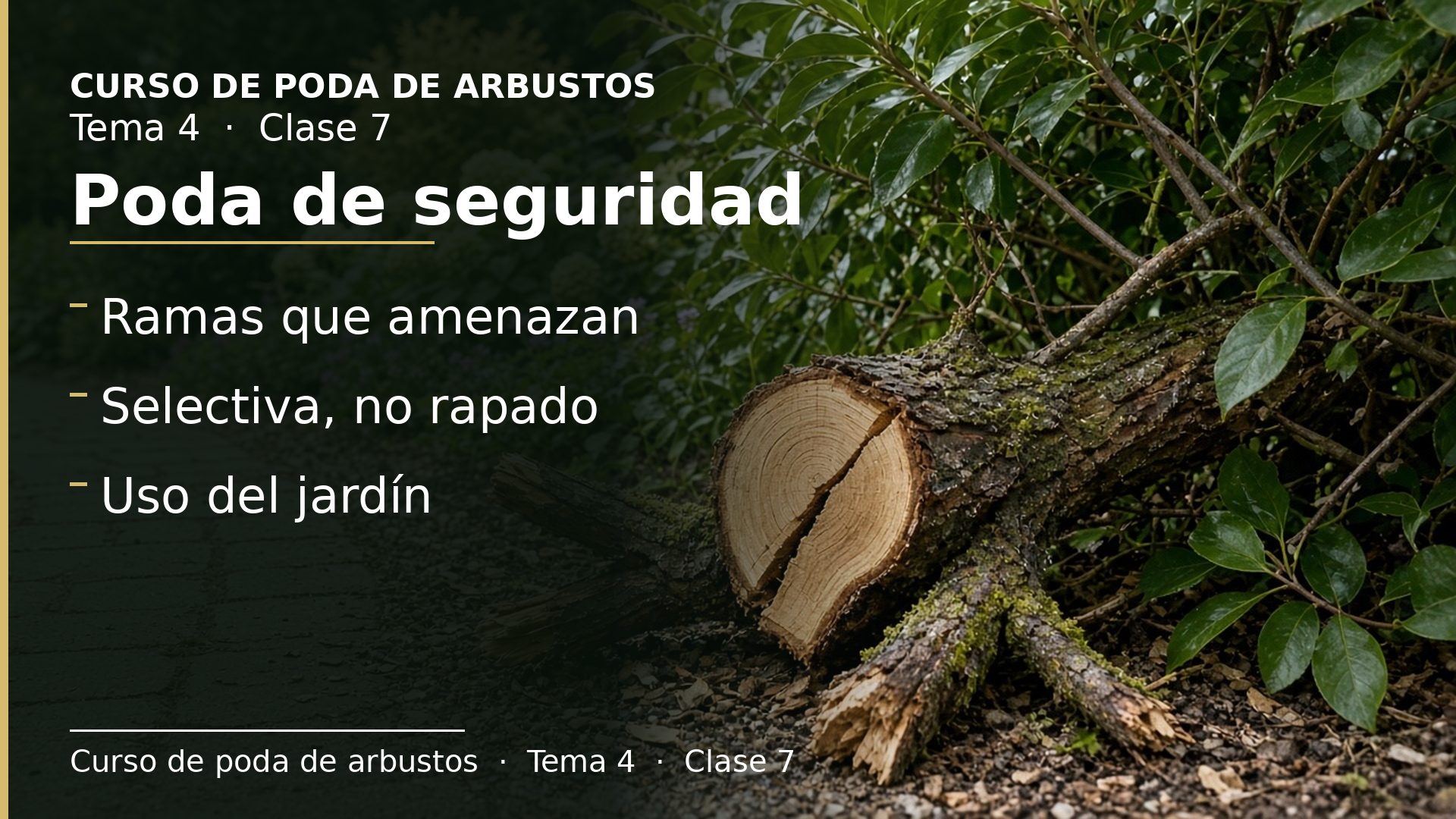 Diapositiva de la clase 7: Poda de seguridad