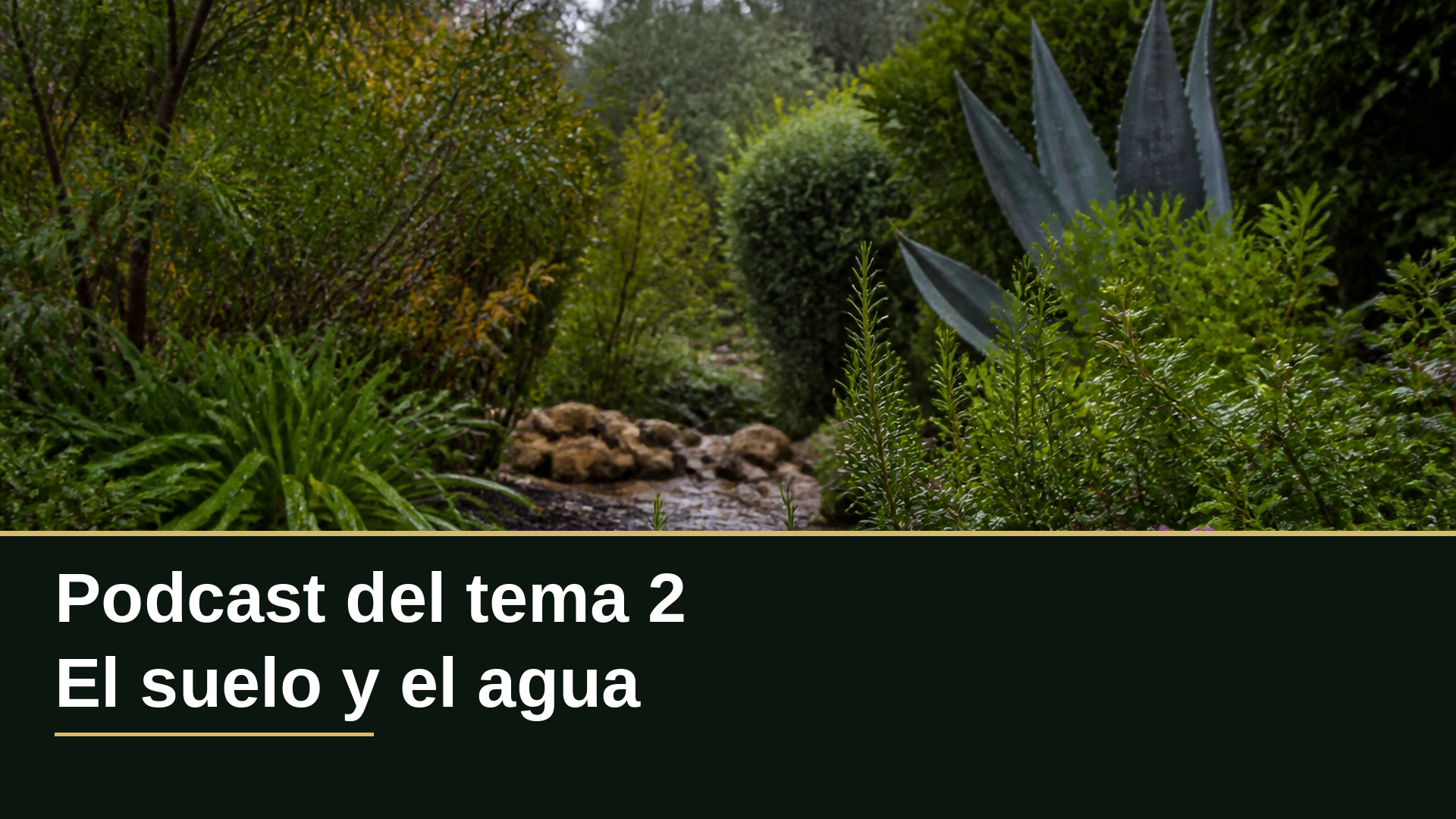 Diapositiva del resumen: Podcast del tema 2 · El suelo y el agua