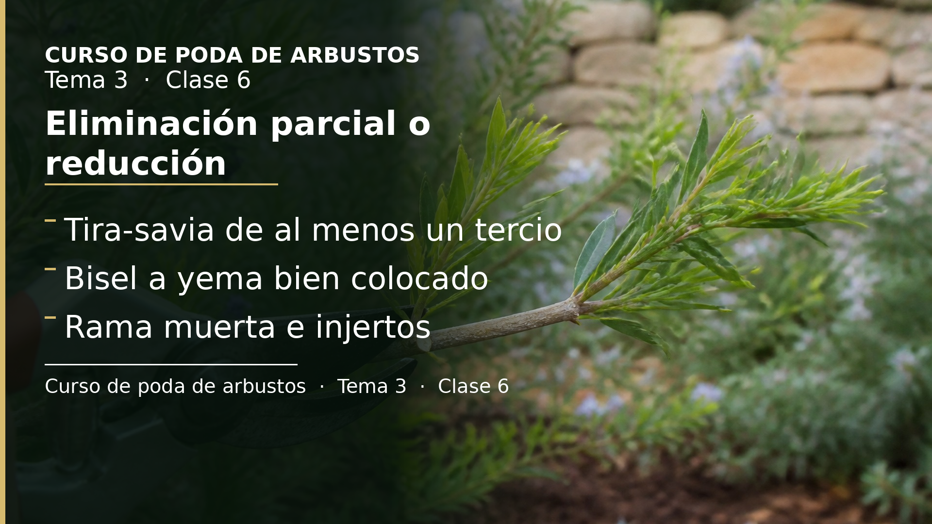 Diapositiva de la clase 6: Eliminación parcial o reducción