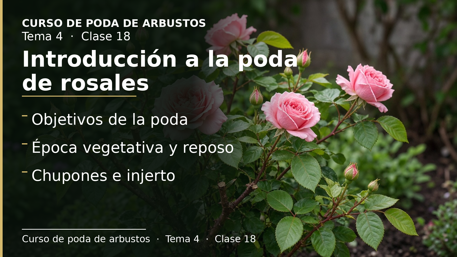 Diapositiva de la clase 18: Introducción a la poda de rosales
