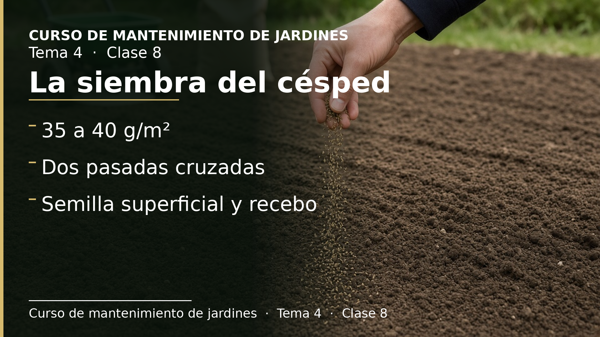 Diapositiva de la clase 8: La siembra del césped