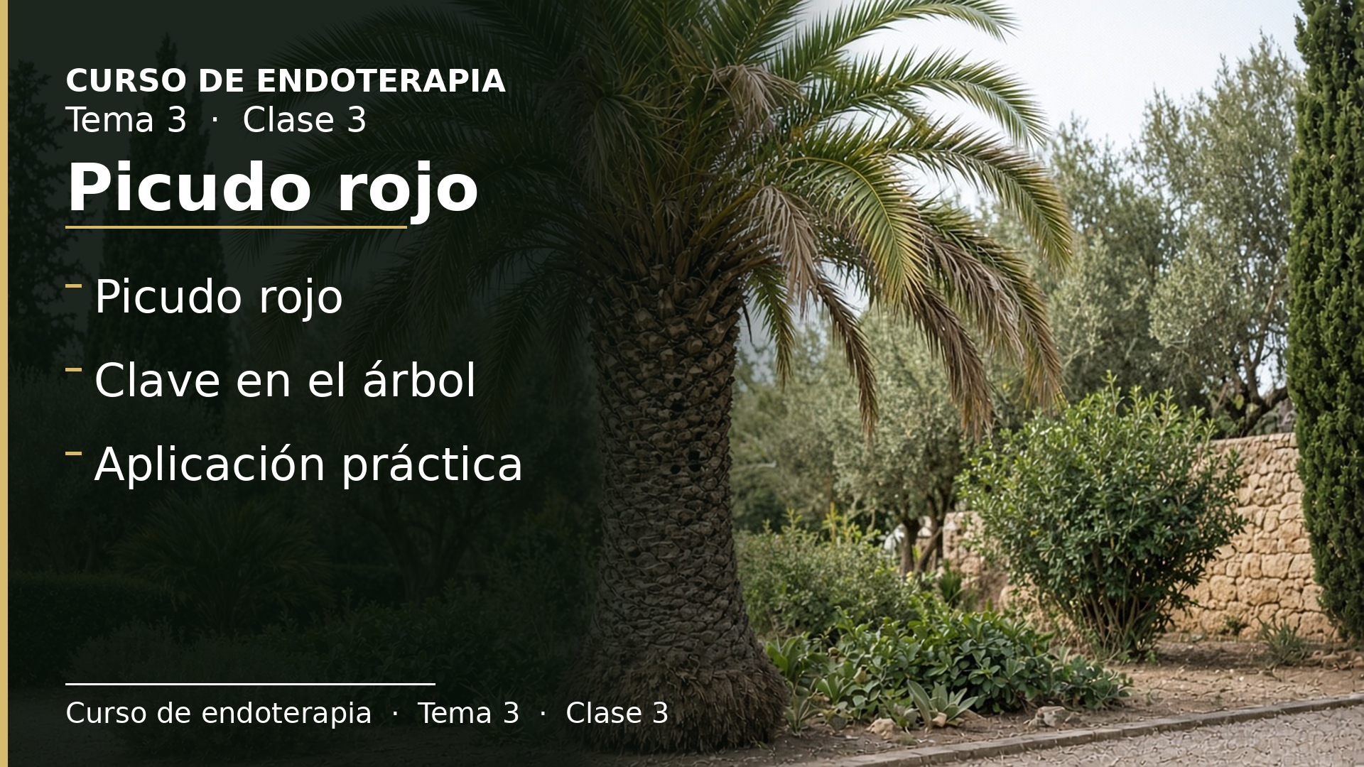 Diapositiva de la clase 3: Picudo rojo