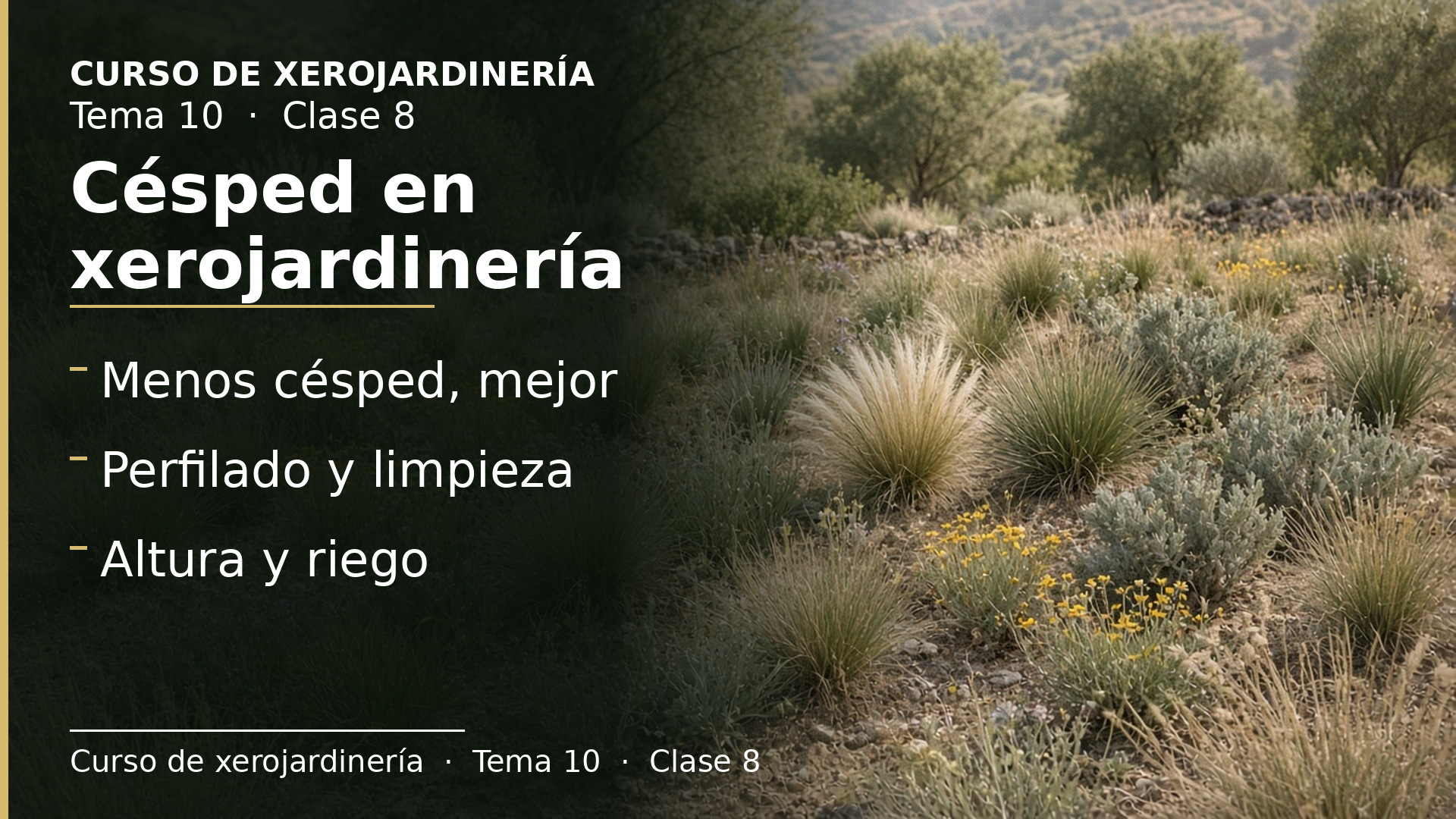 Diapositiva de la clase 8: Mantenimiento de césped en xerojardinería