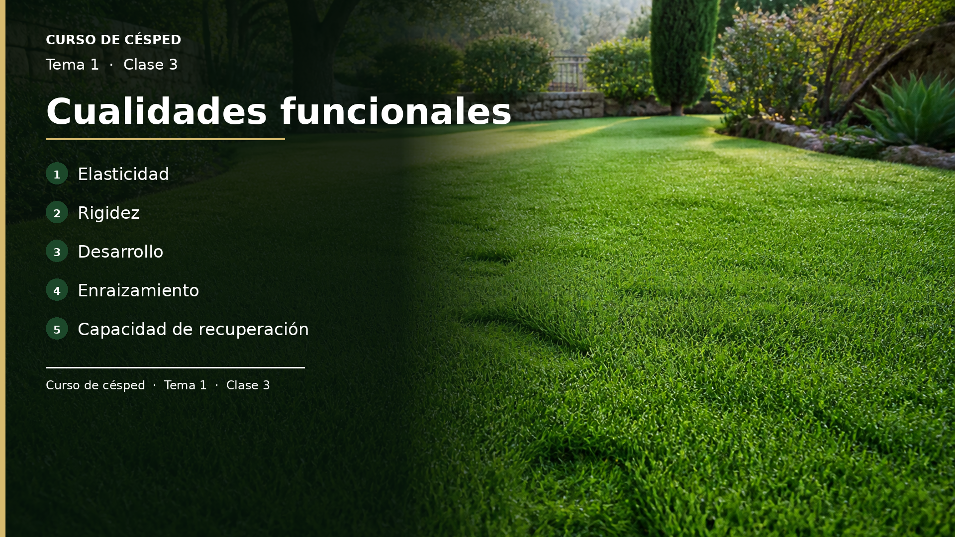 Diapositiva de la clase 3: Cualidades funcionales