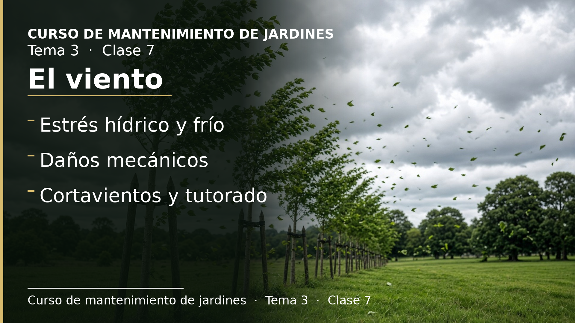 Diapositiva de la clase 7: El viento