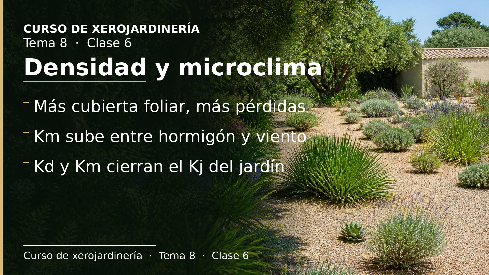 Diapositiva de la clase 6: Densidad y microclima