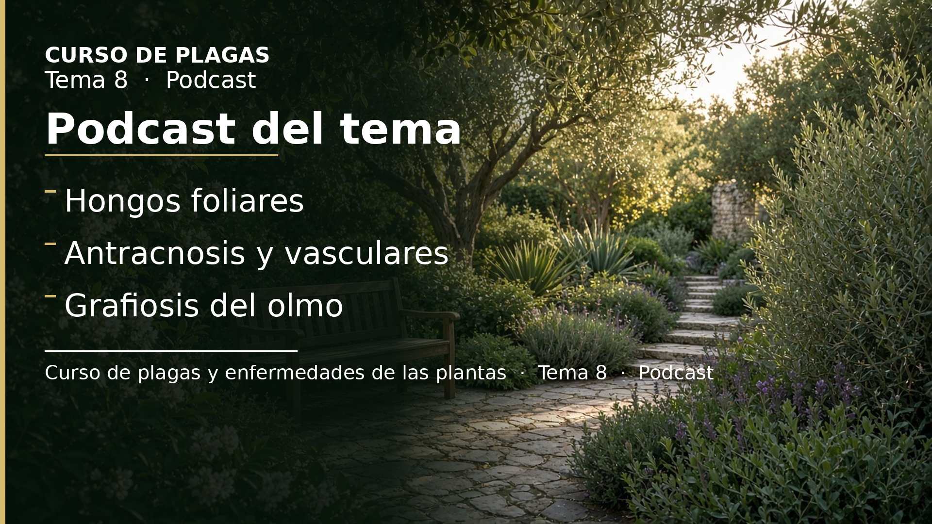 Diapositiva del resumen: Podcast del tema 8 · Enfermedades del jardín · Hongos foliares