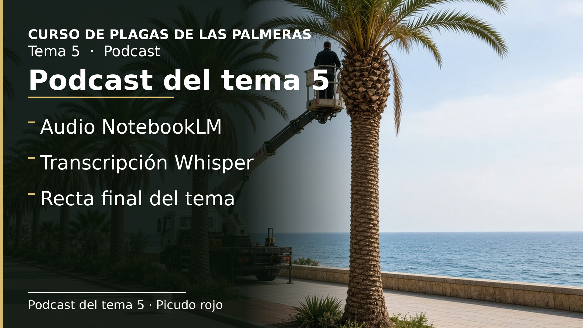 Diapositiva del resumen: Podcast del tema 5 · Picudo rojo