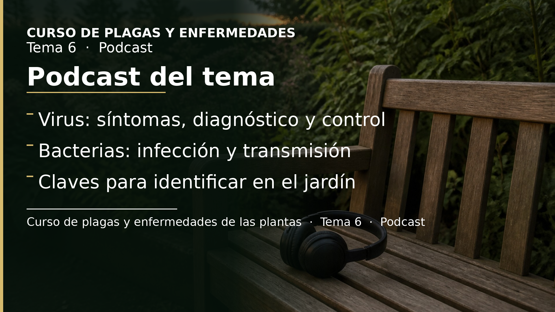Diapositiva del resumen: Podcast del tema 6 · Virus y bacterias