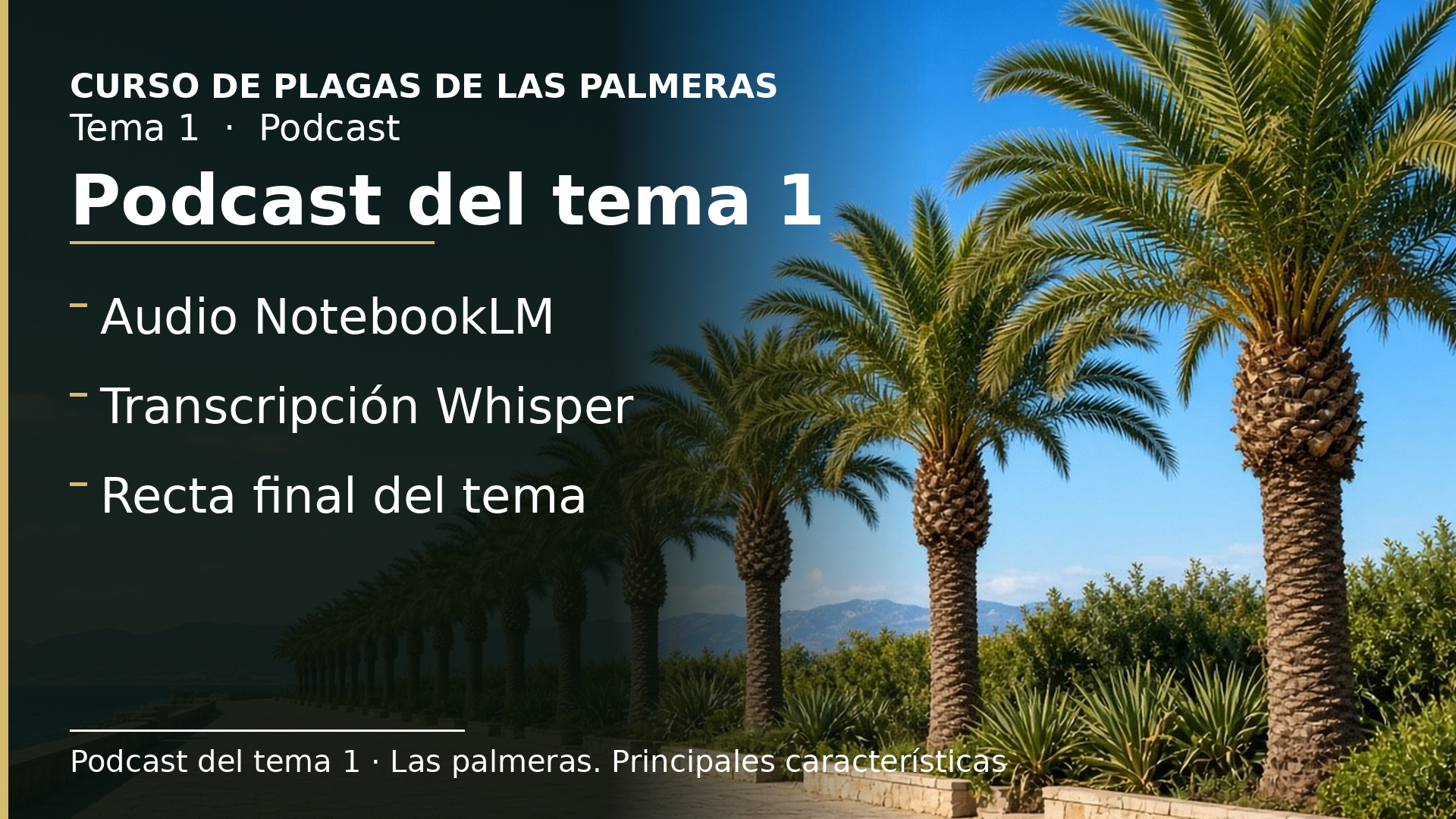 Diapositiva del resumen: Podcast del tema 1 · Las palmeras. Principales características