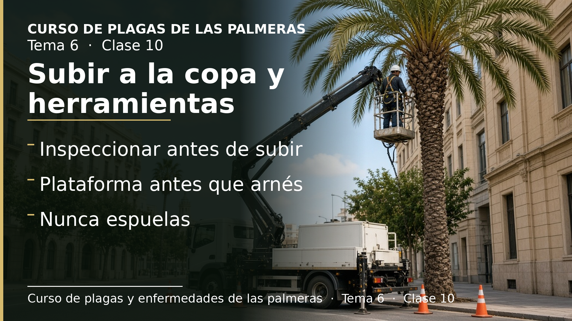 Diapositiva de la clase 10: Subir a la copa con seguridad y herramientas de poda