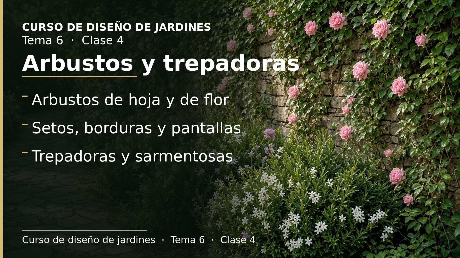 Diapositiva de la clase 4: Arbustos y trepadoras