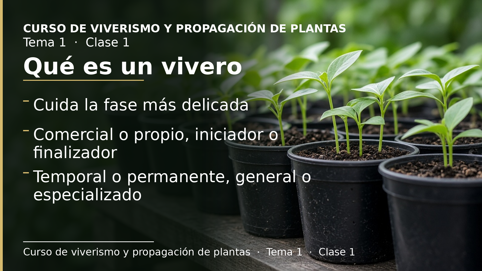Diapositiva de la clase 1: Qué es un vivero y cómo se clasifican