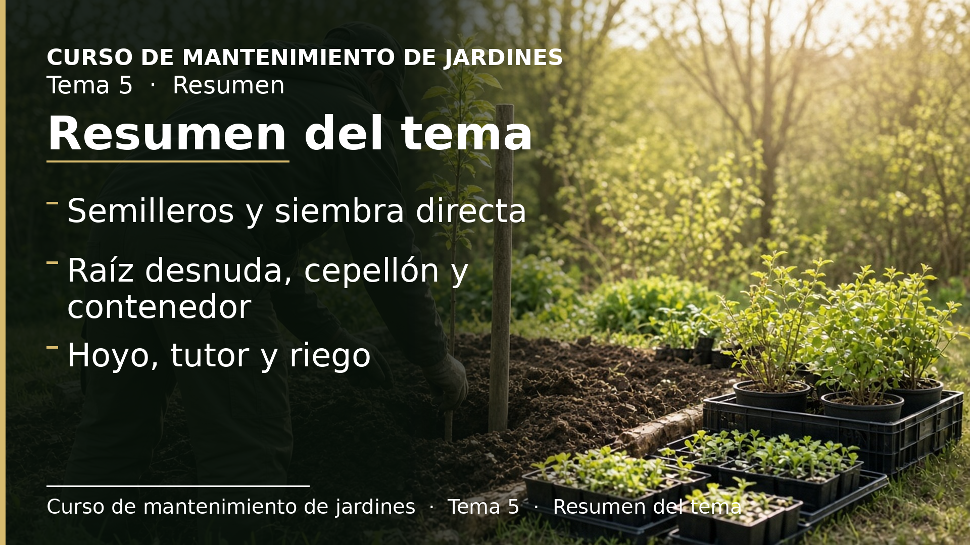 Diapositiva del resumen: Resumen del tema