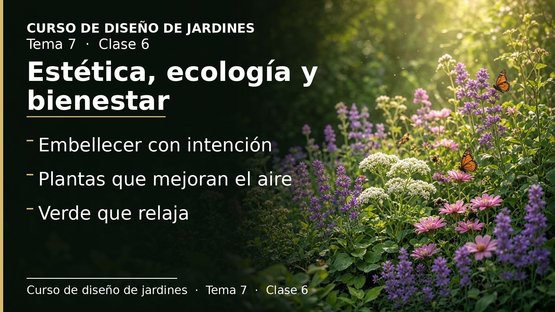 Diapositiva de la clase 6: Papel estético, ecológico y psicológico de las plantas