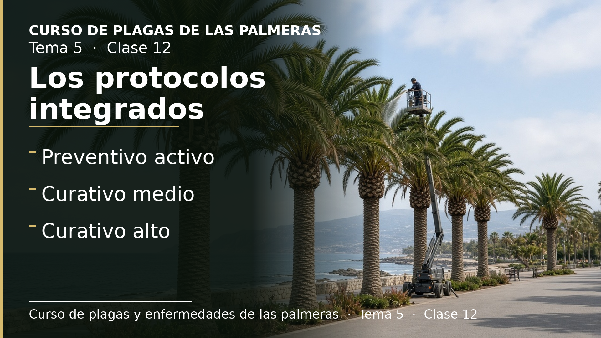 Diapositiva de la clase 12: Los protocolos integrados de tratamiento