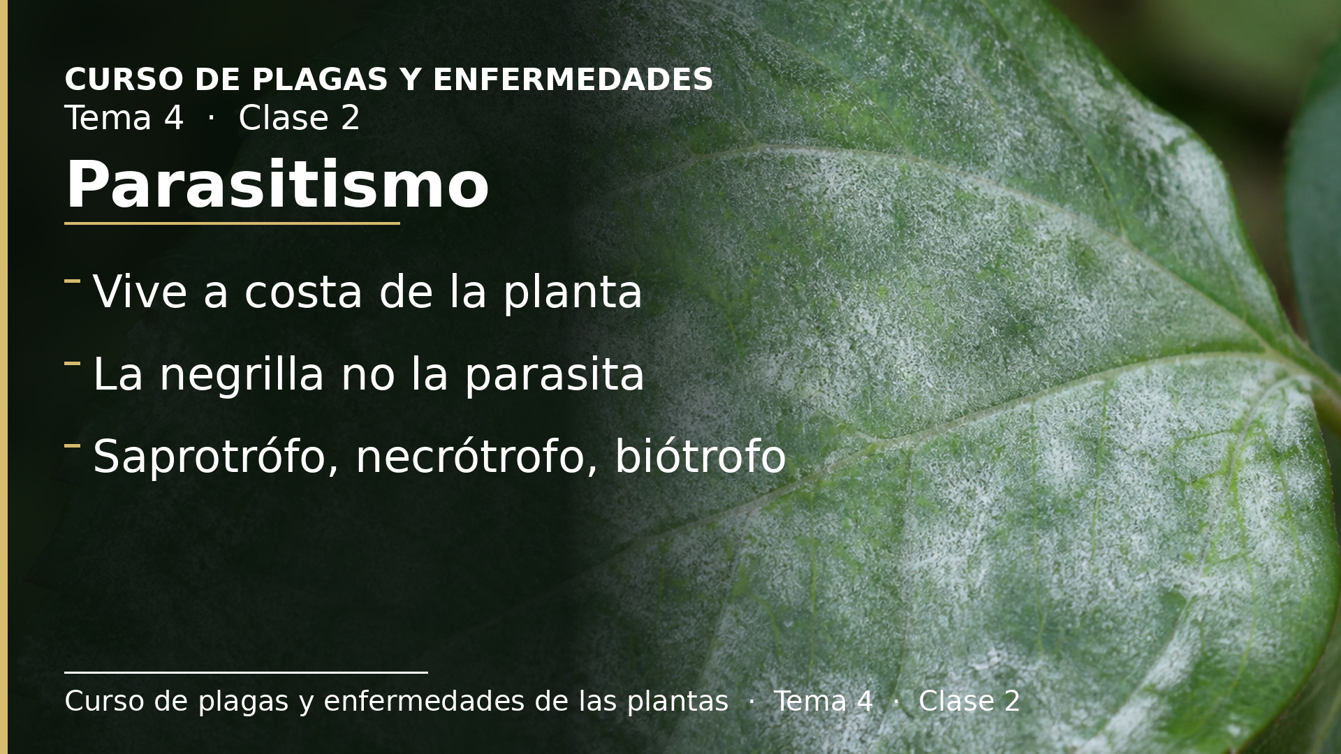 Diapositiva de la clase 2: Parasitismo, niveles de parasitismo