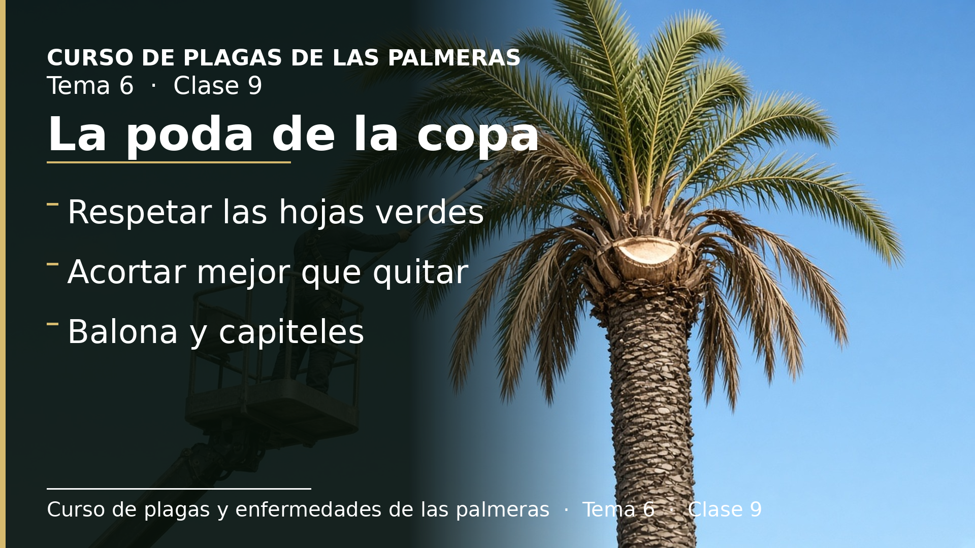 Diapositiva de la clase 9: La poda de la copa y los ornatos