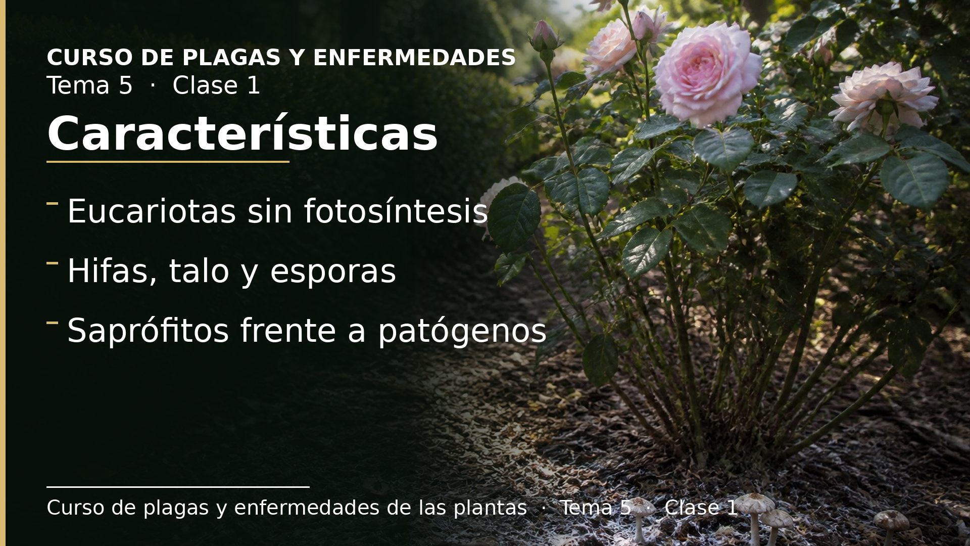 Diapositiva de la clase 1: Características generales