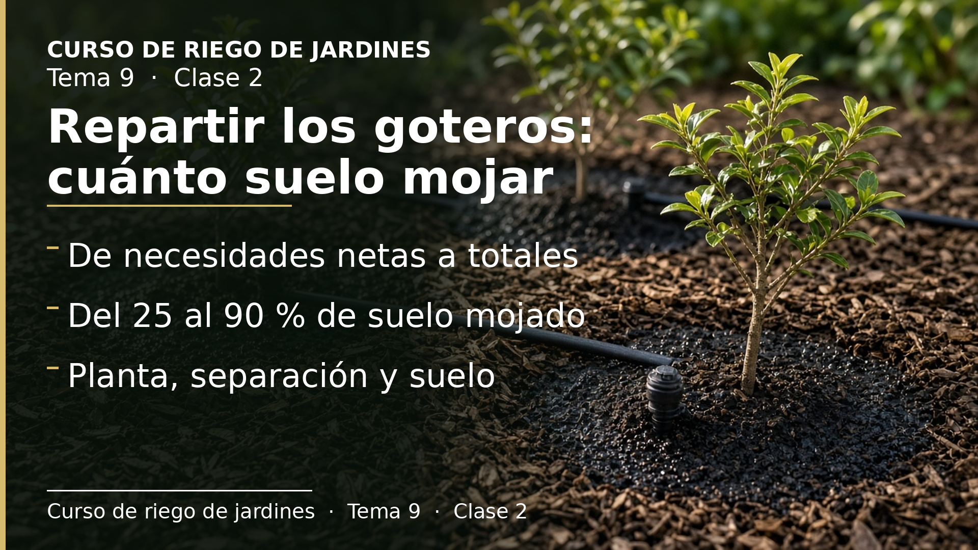 Diapositiva de la clase 2: Repartir los goteros (I): suelo mojado, planta, separación y suelo