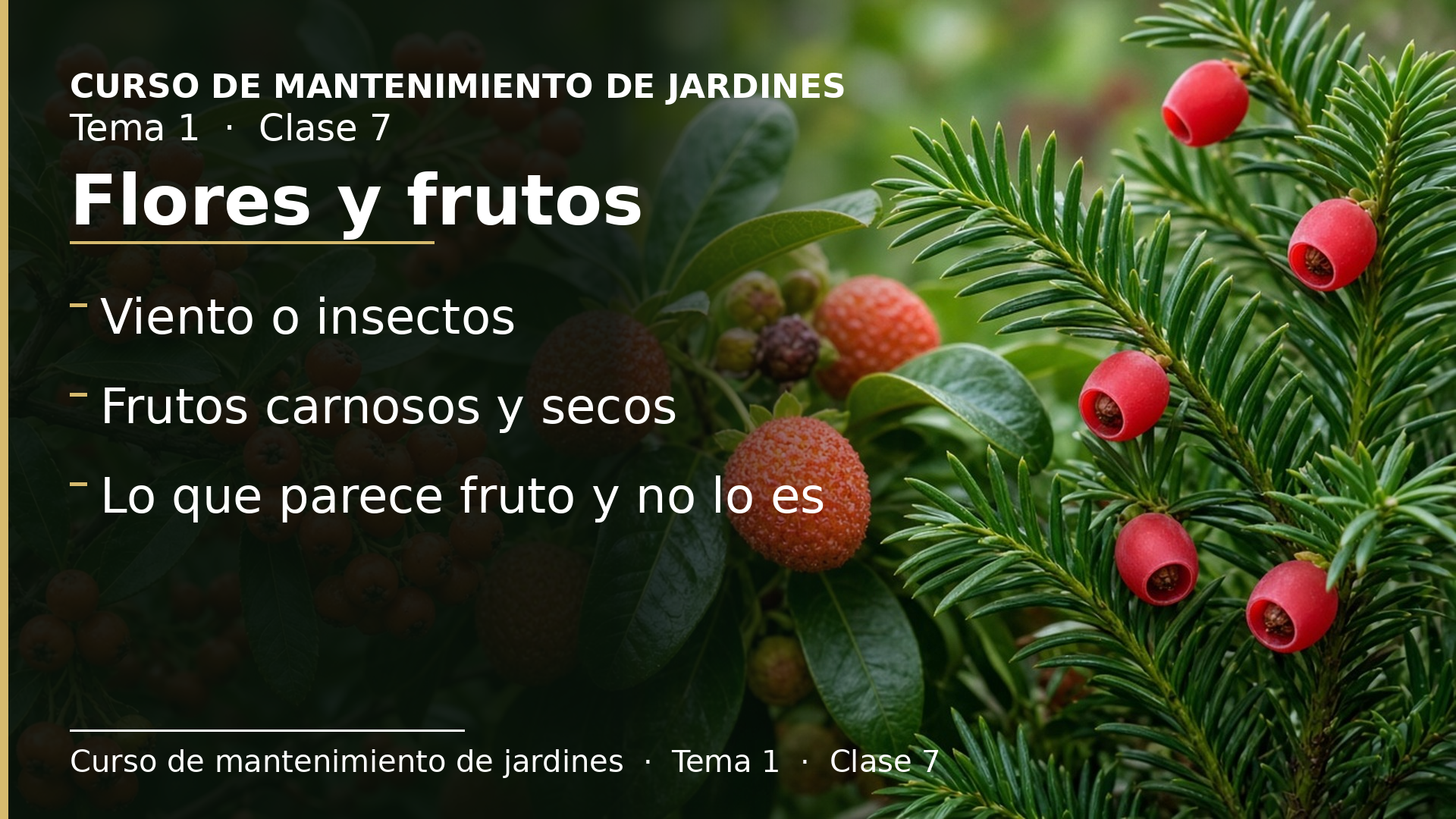 Diapositiva de la clase 7: Por qué existen las flores, frutos y lo que parece fruto y no lo es