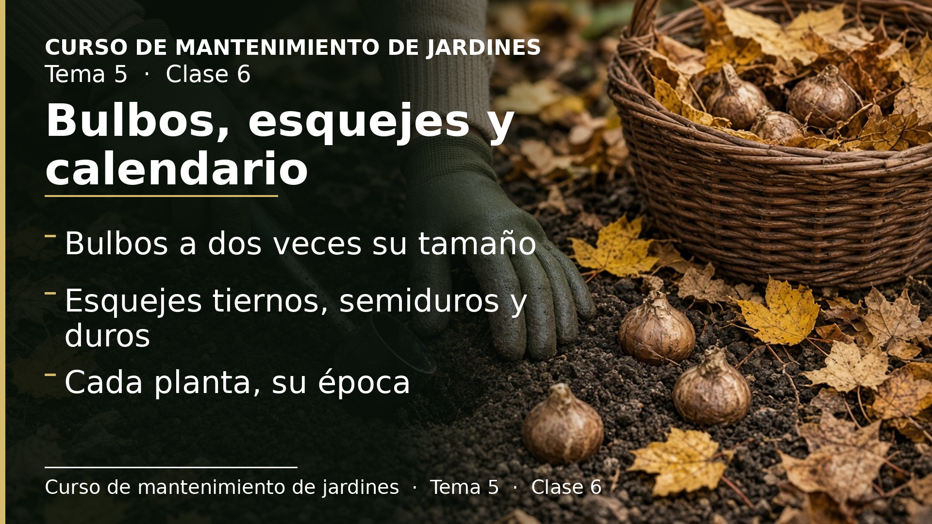 Diapositiva de la clase 6: Bulbosas, esquejes y calendario de plantación