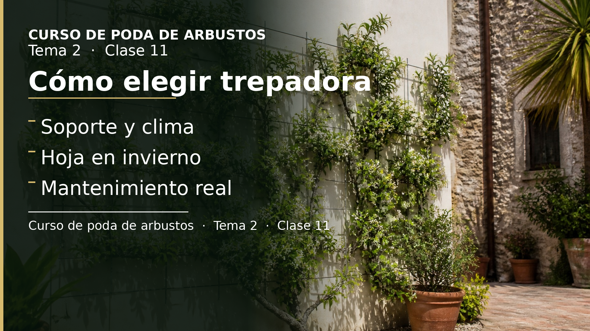 Diapositiva de la clase 11: Cómo elegir trepadora
