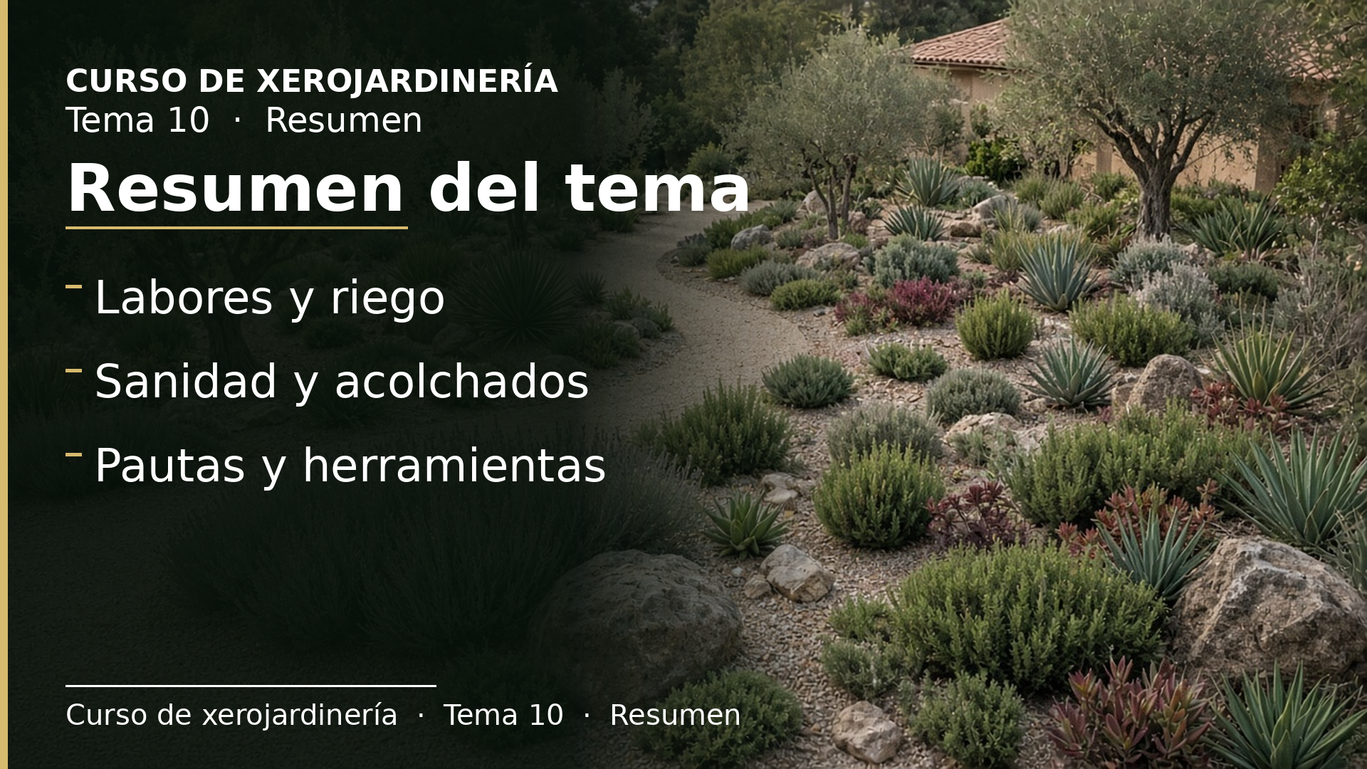 Diapositiva del resumen: Resumen del tema