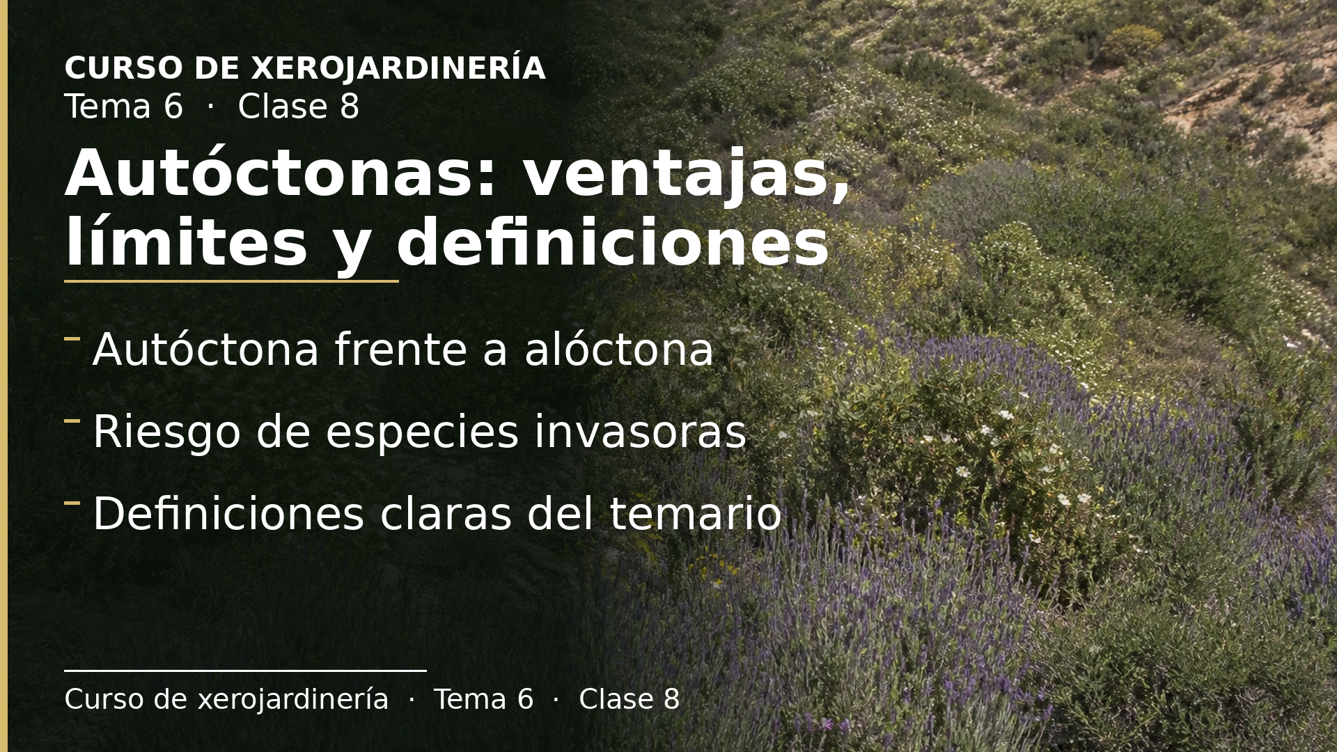 Diapositiva de la clase 8: Autóctonas: ventajas, límites y definiciones