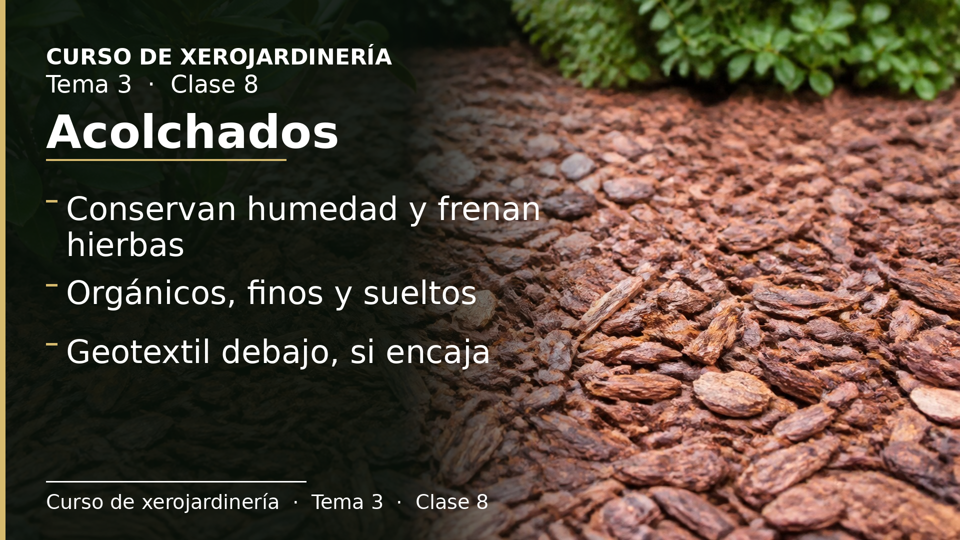 Diapositiva de la clase 8: Acolchados