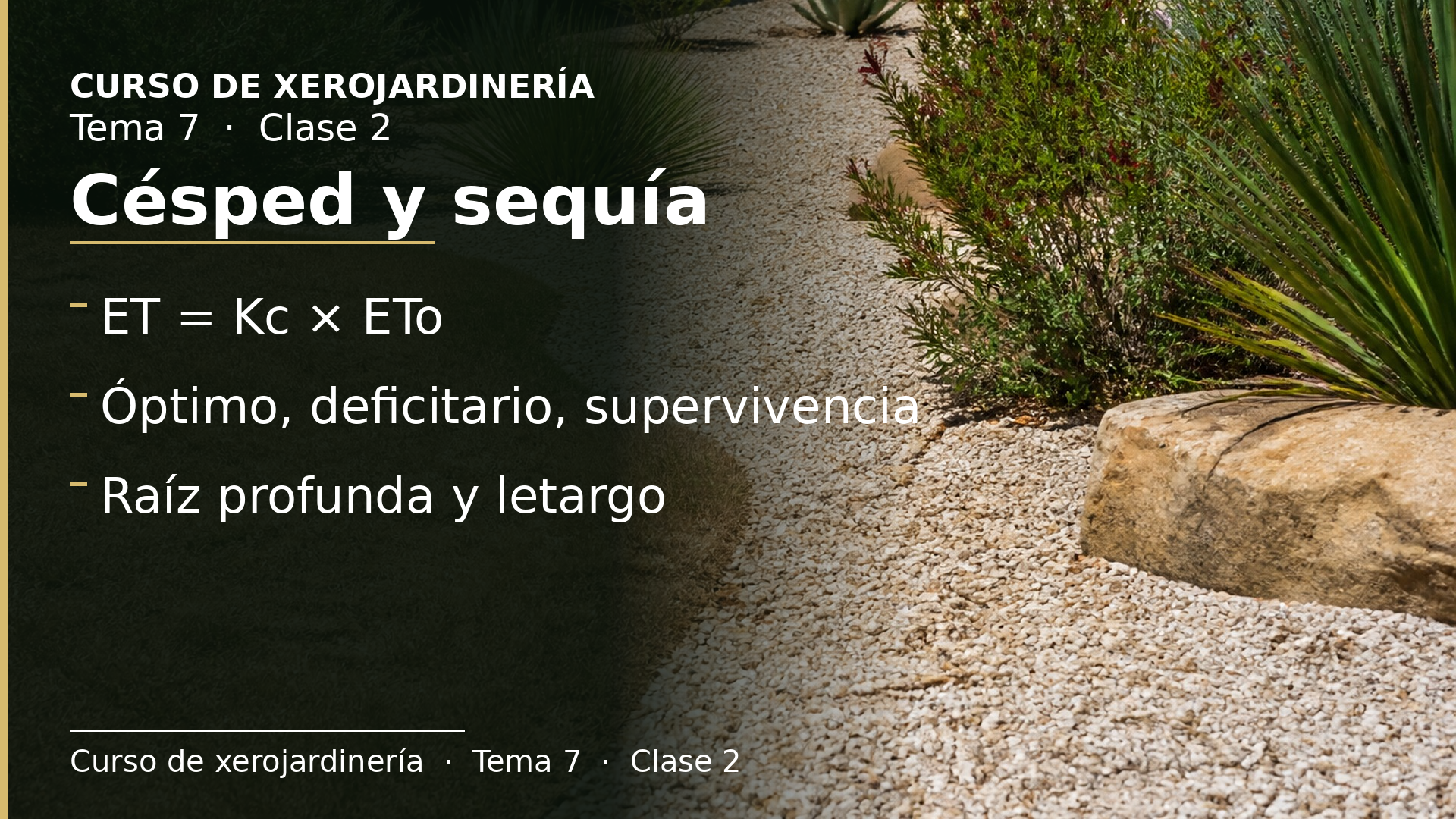 Diapositiva de la clase 2: Césped y sequía