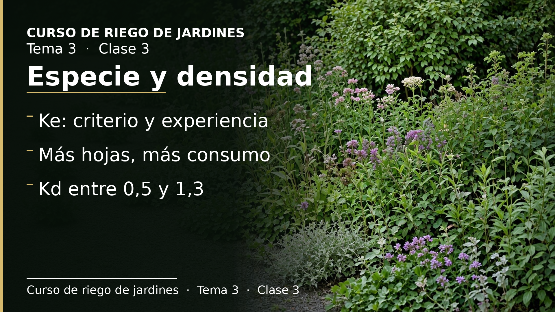 Diapositiva de la clase 3: El coeficiente de especie y el coeficiente de densidad con ejemplos