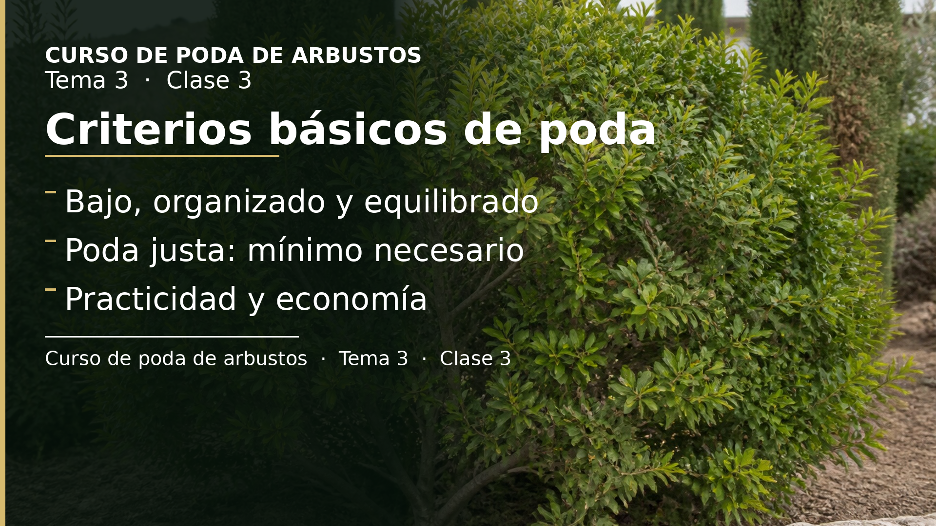 Diapositiva de la clase 3: Criterios básicos de poda
