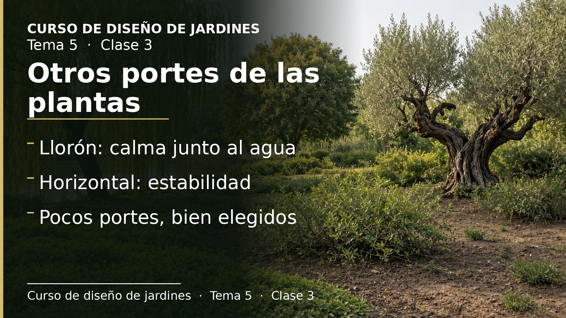 Diapositiva de la clase 3: Otros portes: redondeado, llorón, extendido, rastrero, tapizante, tortuoso y trepador