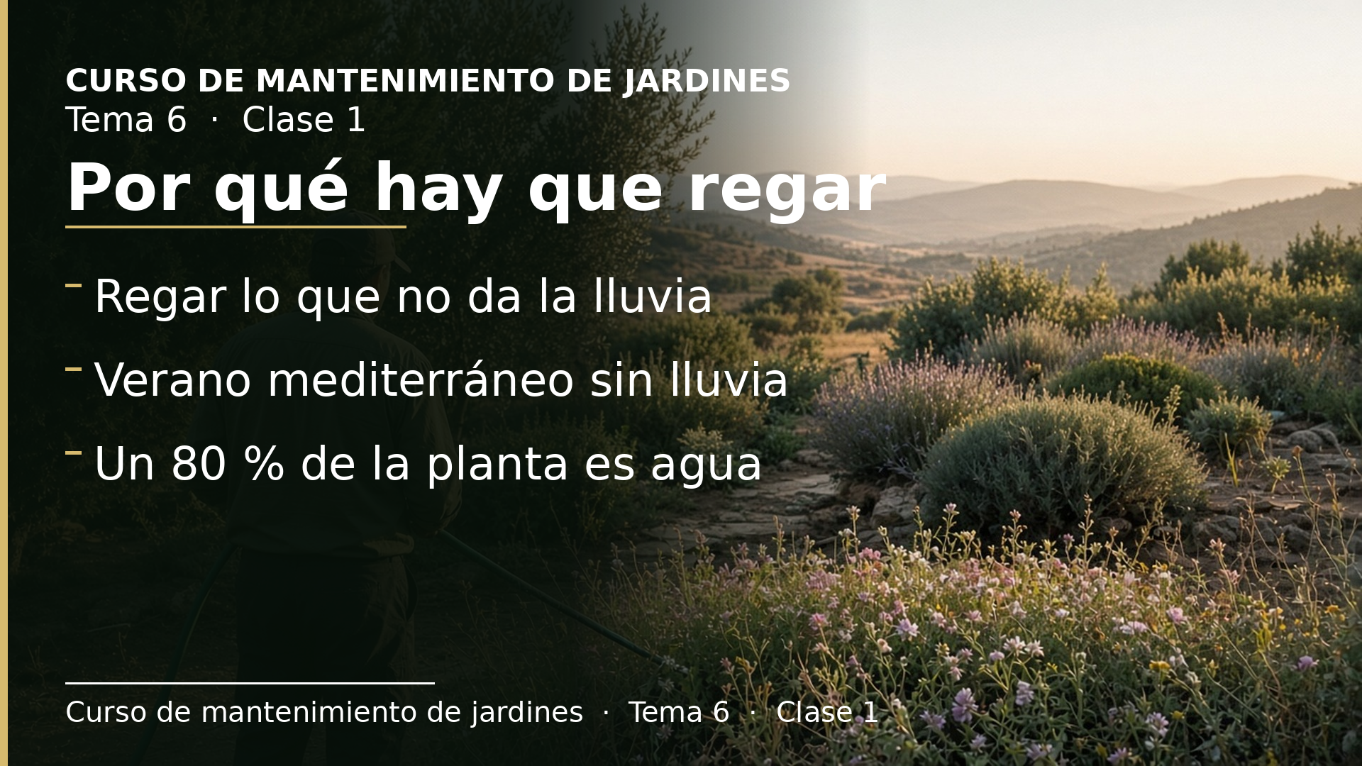 Diapositiva de la clase 1: Por qué hay que regar y para qué sirve el agua en la planta