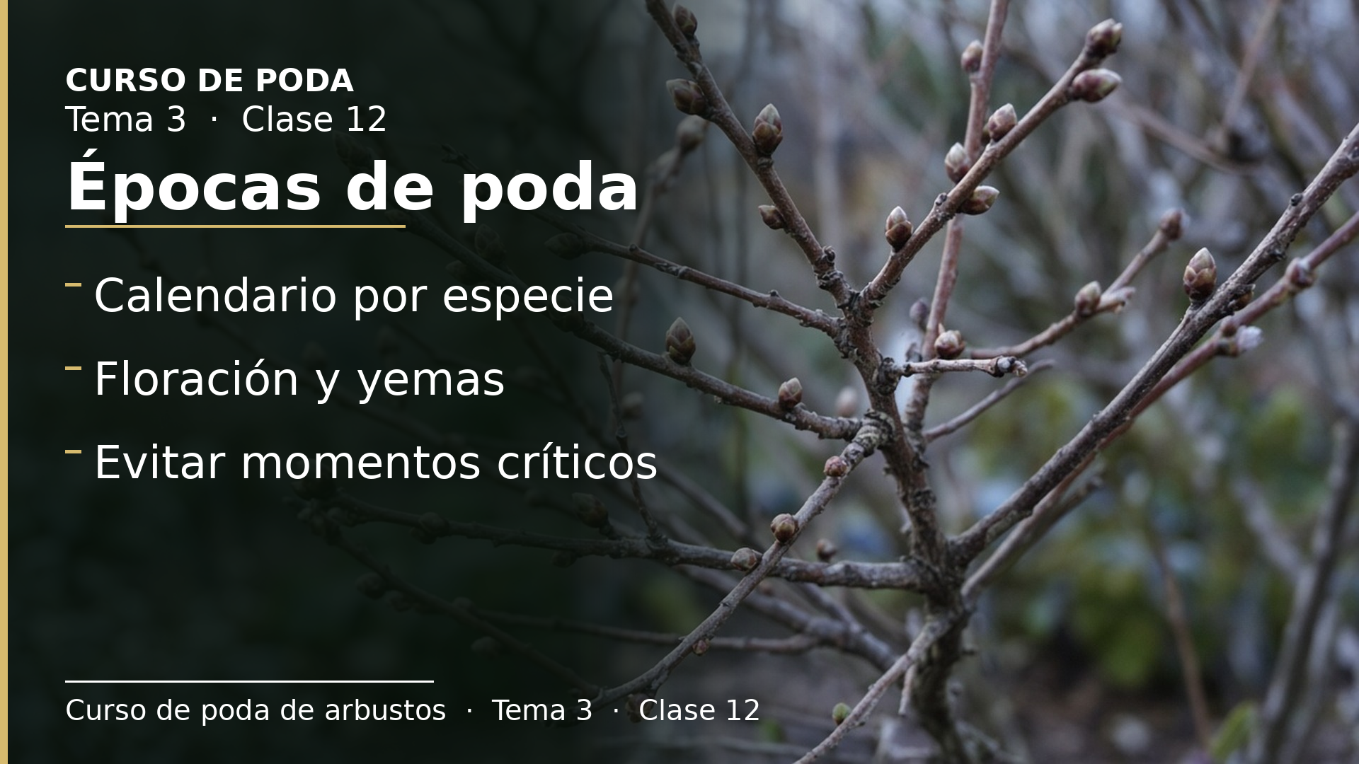 Diapositiva de la clase 12: Épocas de poda