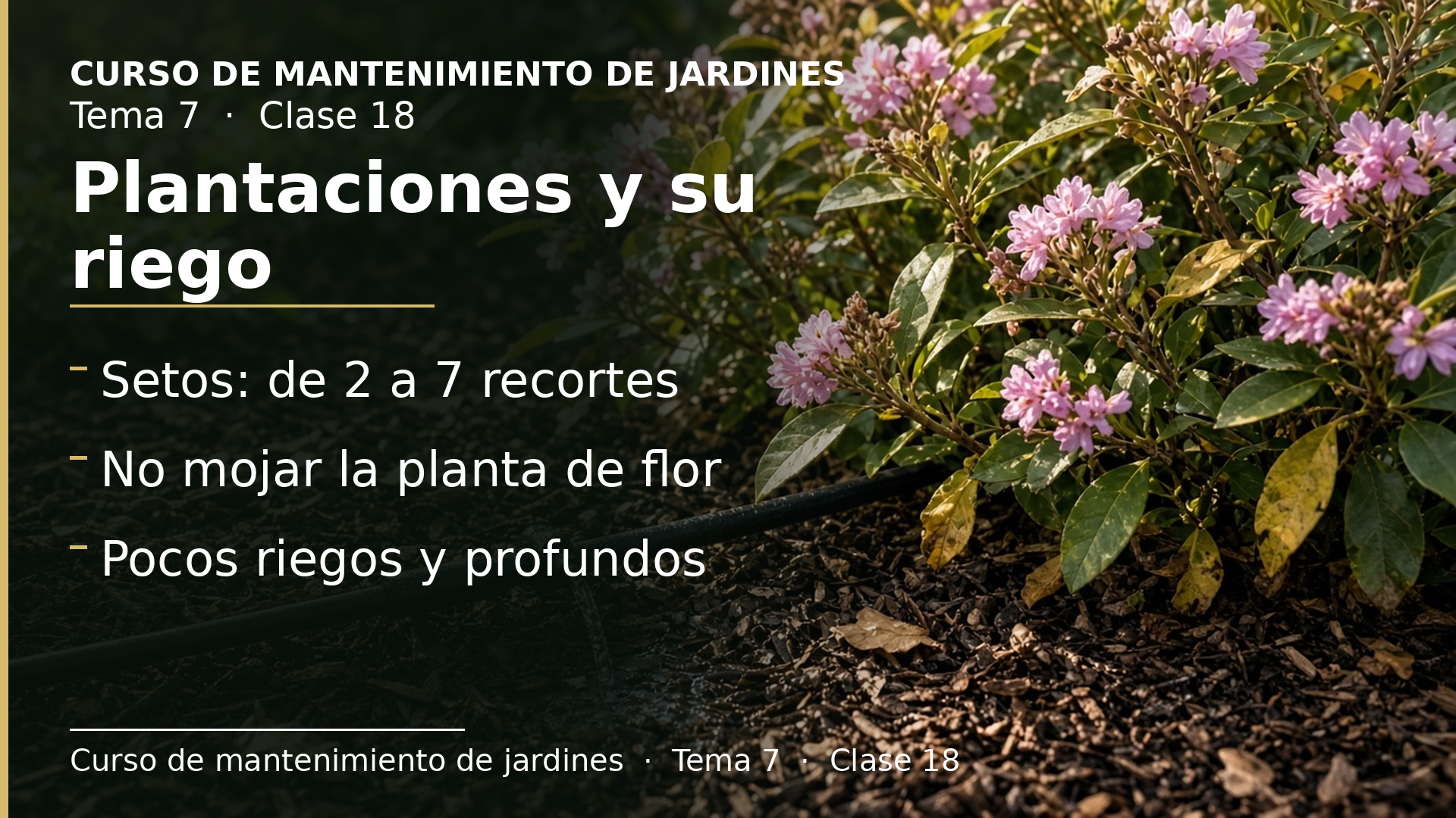 Diapositiva de la clase 18: El mantenimiento de las plantaciones y su riego
